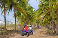 Freddy's Stone Island ATVs