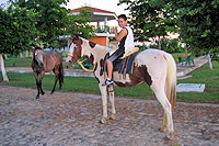 Horseback Riding Mazatlan