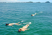 Mazatlan Snorkeling
