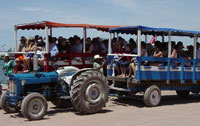 Stone Island Tractor Cart