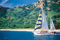 Catamaran Tour