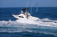 Mazatlan Fishing