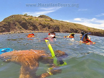 Mazatlan Snorkeling