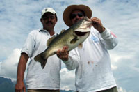 Mazatlan Bass Fishing