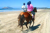 Horseback Riding