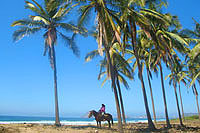 Horseback Riding