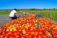 Escamillas Farming Tour Mazatlan