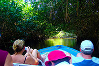 Mazatlan Jungle Boat Tour