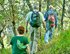 Sea Turtle & Wetland Discovery