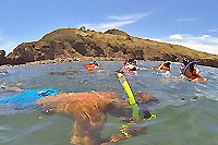 Mazatlan Reef Snorkeling Excursion