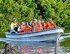 Sea Turtle & Wetland Discovery