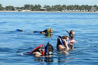 Mazatlan Snorkeling