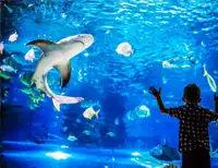 Aquarium Mazatlan