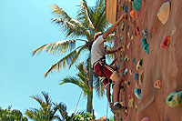 Climbing Wall Mazatlan