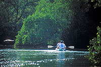 Coastal Lagoons