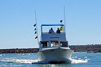 Mazatlan Snorkeling