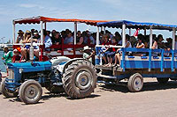 Stone Island Tractor Cart