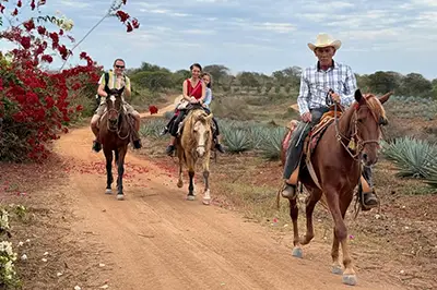 Guided jungle horseback trail ride in Mazatlan