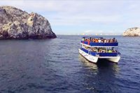 Catamaran Tour Mazatlan