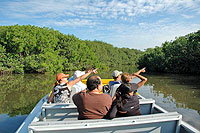 Jet Boat Excursion in Mazatlan