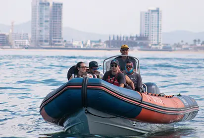 Whale Sighting in Mazatlan Mexico