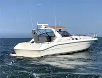 Luxury Whale Watching