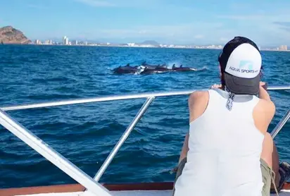 Mazatlan Private Whale Watch Tour